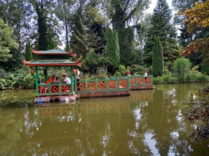 2025-09-09 021 (800x600)